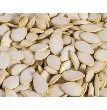 Organic Squash Seed